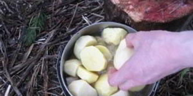 Рецепт шурпы из зайца