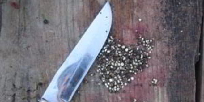 Рецепт шурпы из зайца