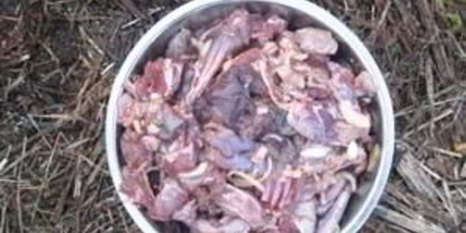 Рецепт шурпы из зайца