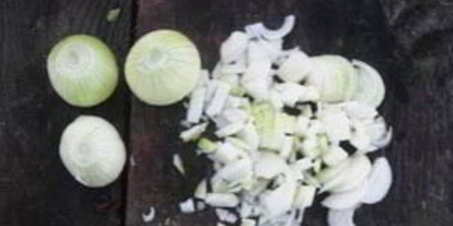 Рецепт шурпы из зайца