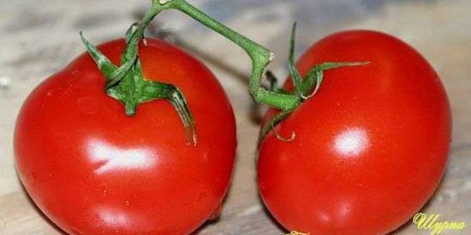 Рецепт шурпы в котле