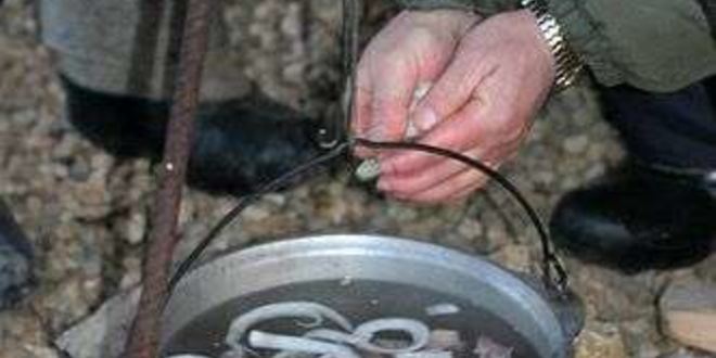 Рецепт шурпы в котле