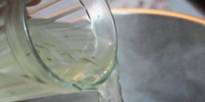 Рецепт солянки с креветками