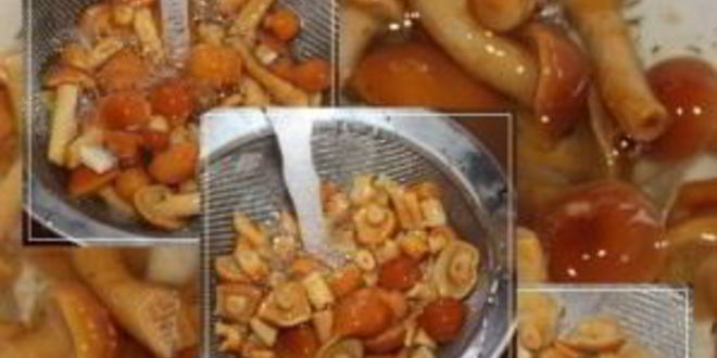 Рецепт солянки с креветками