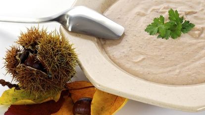 Рецепт Супа из бразильских орехов