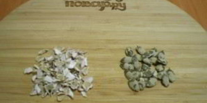 Рецепт супа из тыквы для ребенка