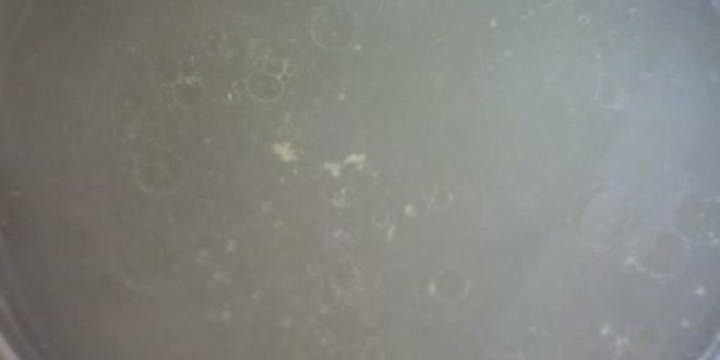 Рецепт харчо из курицы