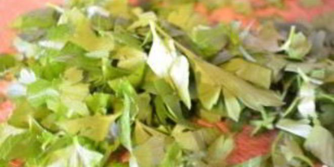 Рецепт супа харчо оригинальный