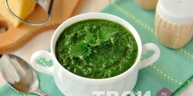 Рецепт супа-пюре из крапивы