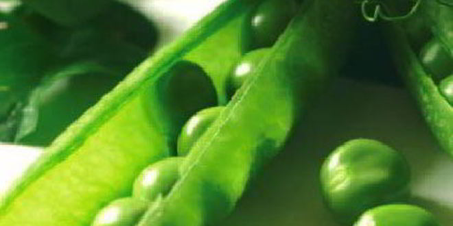 Рецепт супа-пюре из зеленого горошка