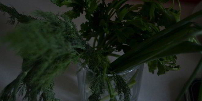 Рецепт холодного свекольника — окрошки по-латышски