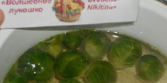 Рецепт супа сырного с фрикадельками и кедровыми орешками