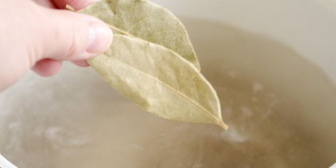 Рецепт домашней ухи из пангасиуса