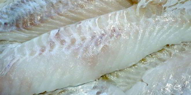 Рецепт средиземноморской ухи с гриссини жил отважный капитан