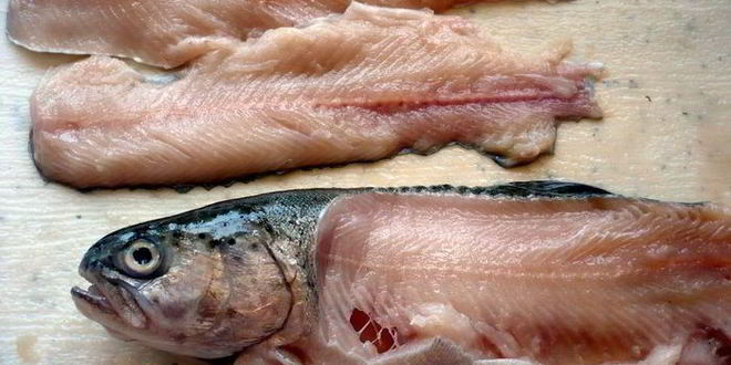 Рецепт средиземноморской ухи с гриссини жил отважный капитан