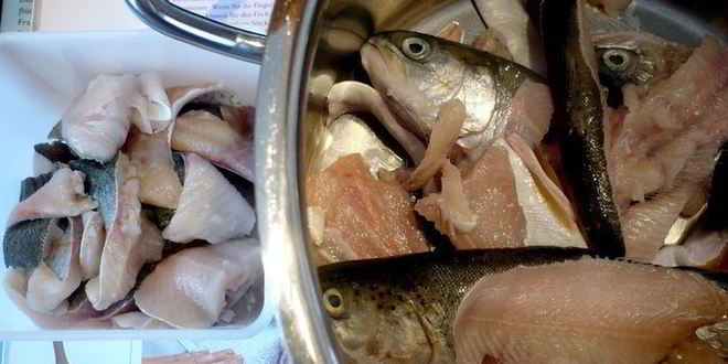 Рецепт средиземноморской ухи с гриссини жил отважный капитан