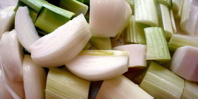 Рецепт средиземноморской ухи с гриссини жил отважный капитан