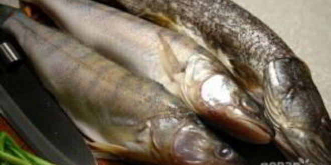 Рецепт ухи архиерейской