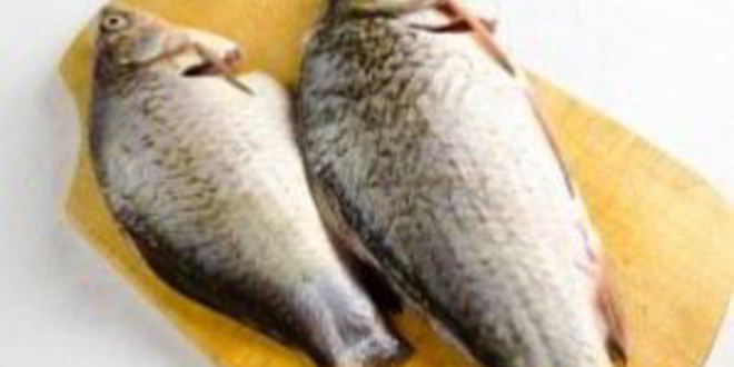 Рецепт ухи деревенской