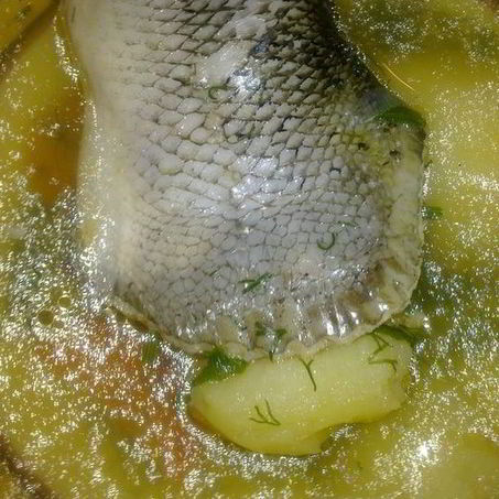 Рецепт Ухи из хвостов лосося