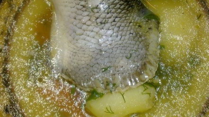 Рецепт ухи из хвостов лосося