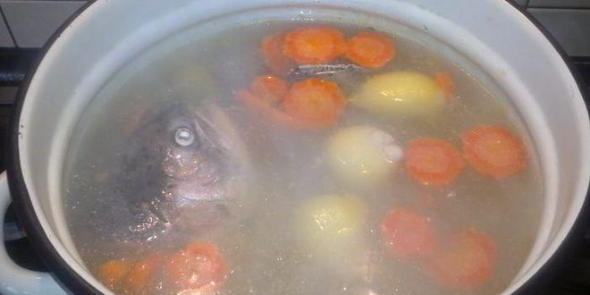 Рецепт ухи из хвостов лосося