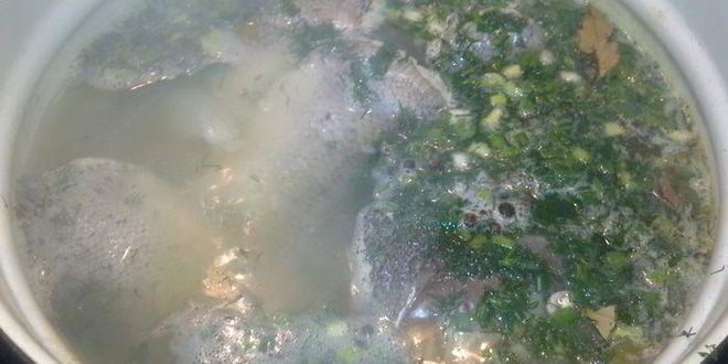 Рецепт ухи из хвостов лосося