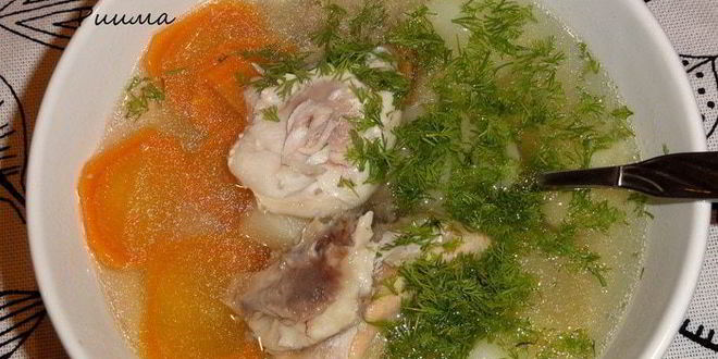Рецепт ухи из щучьих голов с икрой