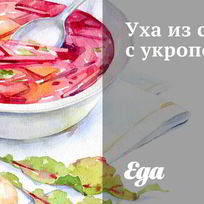 Рецепт Ухи из семги с укропом