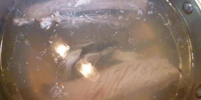 Рецепт ухи из скумбрии