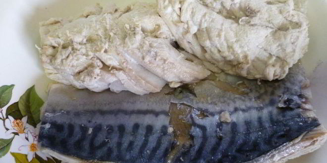 Рецепт ухи из скумбрии