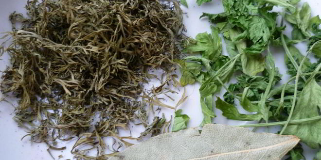 Рецепт ухи из скумбрии