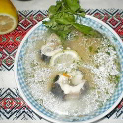 Рецепт Ухи из стерляди с шампанским