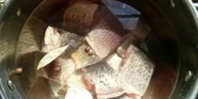 Рецепт ухи по-елизаветински