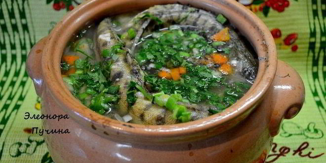 Рецепт ухи в горшочке с грибным пирогом