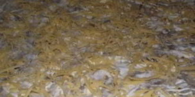 Рецепт лаваша с грибами и сыром