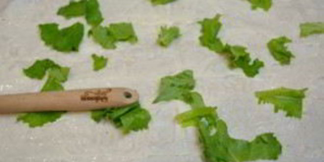 Рецепт закуски из лаваша с сыром