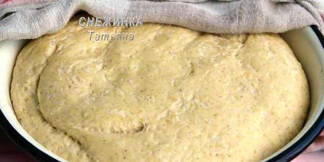 Рецепт фокаччи из трех видов муки с розмарином