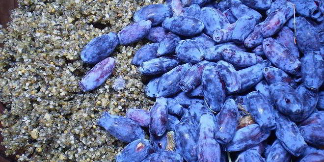 Рецепт ореховых маффинов с ягодами