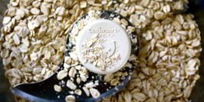 Рецепт оладушек из овсянки