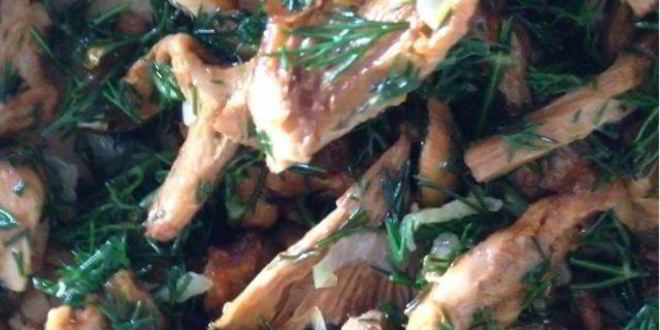 Рецепт киша с лисичками