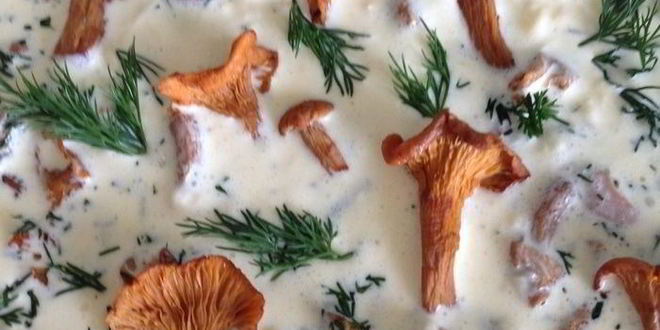 Рецепт киша с лисичками