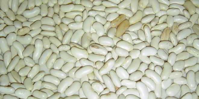 Рецепт пирога с луком-пореем