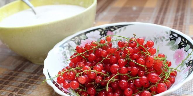 Рецепт пирожков с красной смородиной дрожжевые