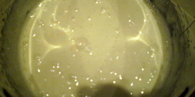 Рецепт пирожного лимонный соблазн