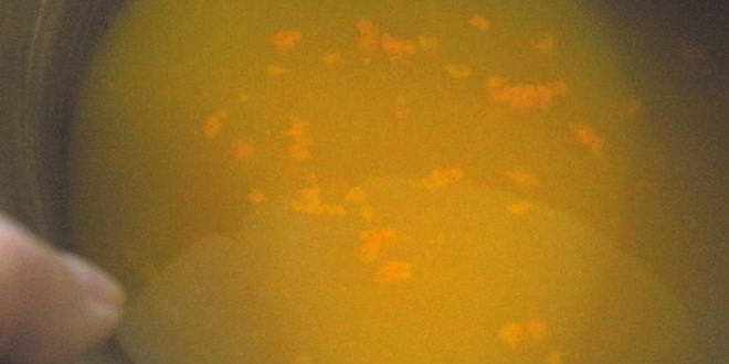 Рецепт тыквенного пирожного