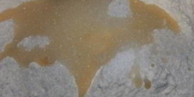 Рецепт сдобного дрожжевого теста в хлебопечке