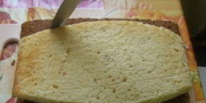 Рецепт торта акула