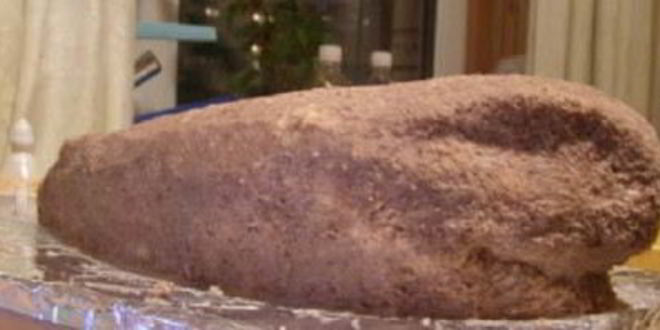 Рецепт торта акула