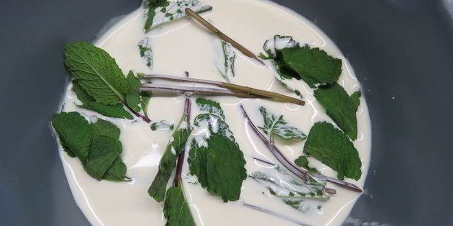 Рецепт торта шоколад-мята-лимон